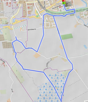 Osterronfelder Moorlauf